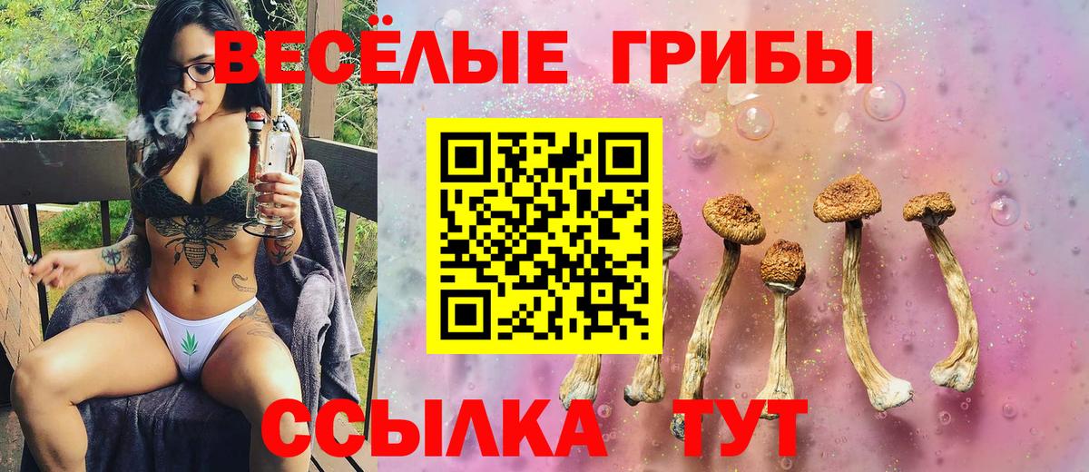 Галлюциногенные грибы мухоморы Арзамас