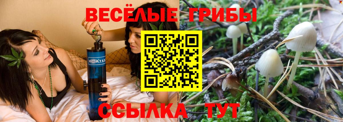 Галлюциногенные грибы Cubensis  Вход с VPN  Арзамас  Галлюциногенные грибы GOLDEN TEACHER 